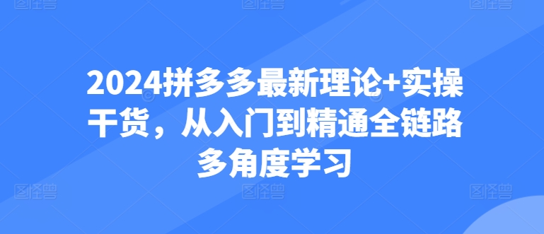 2024拼多多最新理论+实操干货，从入门到精通全链路多角度学习-16888副业资讯
