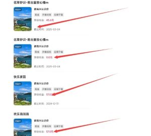 磁力聚星游戏副业陪跑训练营1.0，长期稳定项目，有人一周干了1K+-16888副业资讯