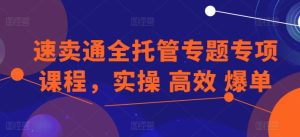 速卖通全托管专题专项课程,实操 高效 爆单-16888副业资讯
