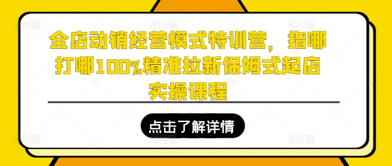 全店动销经营模式特训营，指哪打哪100%精准拉新保姆式起店实操课程-16888副业资讯