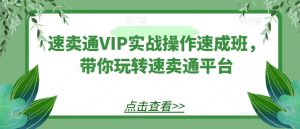 速卖通VIP实战操作速成班,带你玩转速卖通平台-16888副业资讯