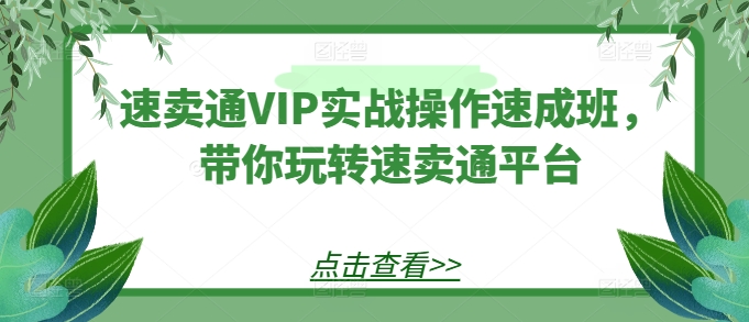 速卖通VIP实战操作速成班，带你玩转速卖通平台-16888副业资讯