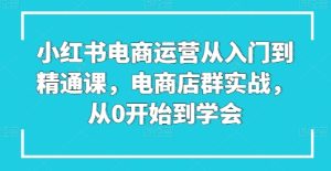 小红书电商运营从入门到精通课，电商店群实战，从0开始到学会-16888副业资讯