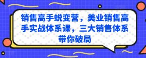 销售高手蜕变营,美业销售高手实战体系课,三大销售体系带你破局-16888副业资讯