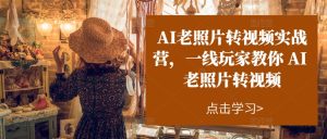 AI老照片转视频实战营，一线玩家教你AI老照片转视频-16888副业资讯