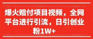 爆火赔付项目视频，全网平台进行引流，日引创业粉1W+【揭秘】-16888副业资讯