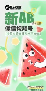 梅花实验室2024年AB技术视频号AB合成破解版-16888副业资讯