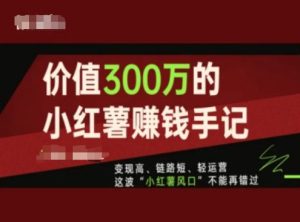 价值300万的小红书赚钱手记，变现高、链路短、轻运营，这波“小红薯风口”不能再错过-16888副业资讯