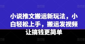 小说推文搬运新玩法，小白轻松上手，搬运发视频让搞钱更简单-16888副业资讯