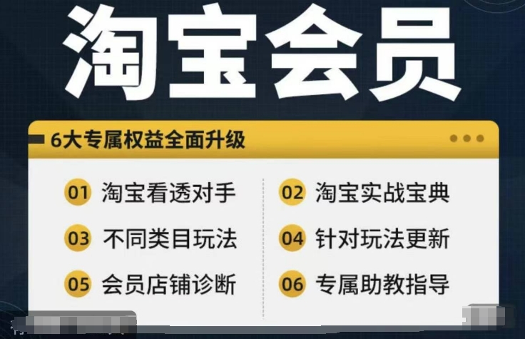 淘宝会员【淘宝所有课程，全面分析对手】，初级到高手全系实战宝典-16888副业资讯