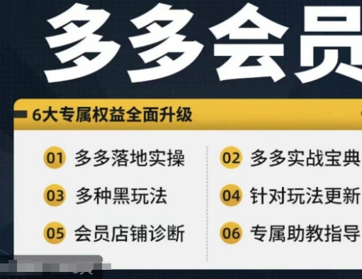 拼多多会员，拼多多实战宝典+实战落地实操，从新手到高阶内容全面覆盖-16888副业资讯