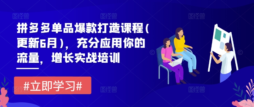 拼多多单品爆款打造课程(更新6月)，充分应用你的流量，增长实战培训-16888副业资讯
