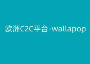 欧洲C2C平台-wallapop-kim跨境电商教程-16888副业资讯