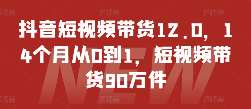 抖音短视频带货12.0，14个月从0到1，短视频带货90万件-16888副业资讯