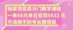 独家项目卖冷门教学课程一单88元单日变现5632元违规不封号长期项目【揭秘】-16888副业资讯