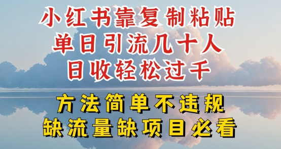 小红书靠复制粘贴单日引流几十人目收轻松过千，方法简单不违规【揭秘】-16888副业资讯