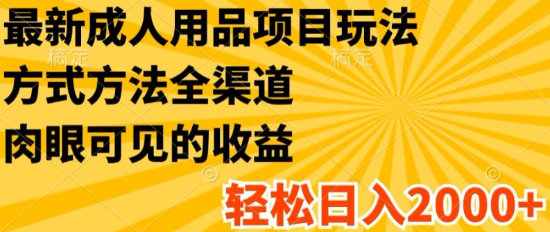 最新成人用品项目玩法，方式方法全渠道，轻松日入2K+【揭秘】-16888副业资讯