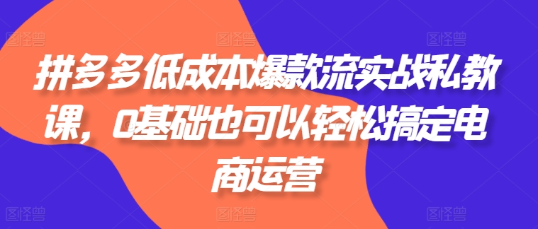 拼多多低成本爆款流实战私教课，0基础也可以轻松搞定电商运营-16888副业资讯
