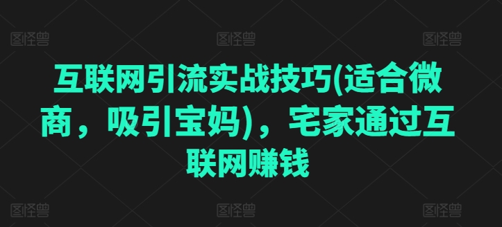 互联网引流实战技巧(适合微商，吸引宝妈)，宅家通过互联网赚钱-16888副业资讯