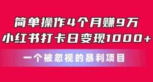 简单操作4个月赚9w，小红书打卡日变现1k，一个被忽视的暴力项目【揭秘】-16888副业资讯