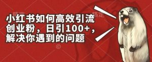 小红书如何高效引流创业粉，日引100+，解决你遇到的问题【揭秘】-16888副业资讯