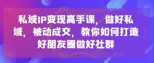私域IP变现高手课,做好私域,被动成交,教你如何打造好朋友圈做好社群-16888副业资讯