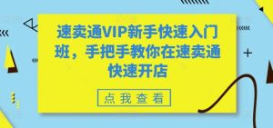 速卖通VIP新手快速入门班,手把手教你在速卖通快速开店-16888副业资讯