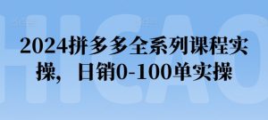 2024拼多多全系列课程实操，日销0-100单实操【必看】-16888副业资讯
