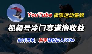 视频号冷门赛道撸收益,YouTube搬运极限运动集锦,暴力起号,操作简单流量高,轻松日入5张【揭秘】-16888副业资讯