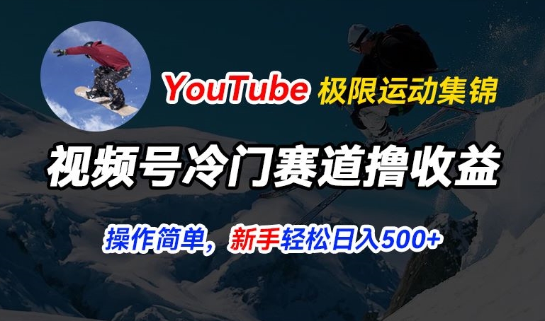 视频号冷门赛道撸收益，YouTube搬运极限运动集锦，暴力起号，操作简单流量高，轻松日入5张【揭秘】-16888副业资讯