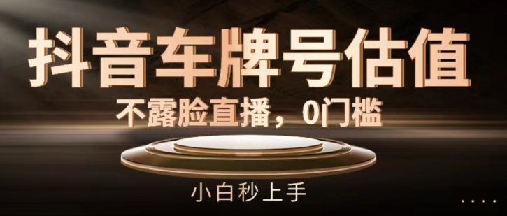 抖音车牌号估值，不露脸直播，0门槛，小白秒上手【揭秘】-16888副业资讯