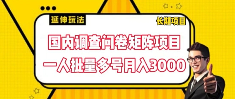 国内调查问卷矩阵项目，一人批量多号月入3000【揭秘】-16888副业资讯