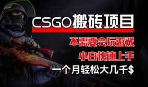 CSGO 装备搬砖项目，操作简单，不需要会玩游戏，小白也能快速上手，一个月轻松大几千【揭秘】-16888副业资讯