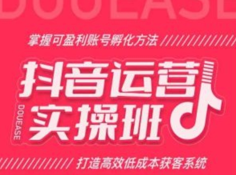 抖音运营实操班，掌握可盈利账号孵化方法，打造高效低成本获客系统-16888副业资讯