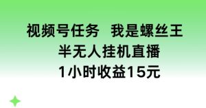 视频号任务，我是螺丝王， 半无人挂机1小时收益15元【揭秘】-16888副业资讯