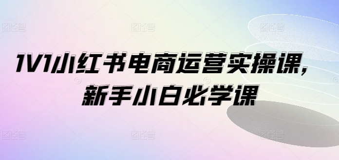 1V1小红书电商运营实操课，新手小白必学课-16888副业资讯