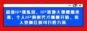 超级IP训练营,IP落地大课震撼来袭,个人IP的时代才刚刚开始,素人变网红的可行性方案-16888副业资讯