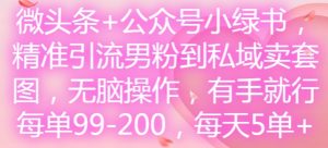 微头条+公众号小绿书,精准引流男粉到私域卖套图,无脑操作,有手就行,每单99-200,每天5单-16888副业资讯