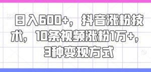 日入600+，抖音涨粉技术，10条视频涨粉1万+，3种变现方式【揭秘】-16888副业资讯