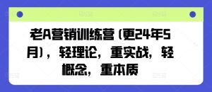 老A营销训练营(更24年7月),轻理论,重实战,轻概念,重本质-16888副业资讯