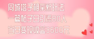 同城搭子相亲新玩法一篇帖子引流80人当日变现3600元(项目教程+实操教程)【揭秘】-16888副业资讯