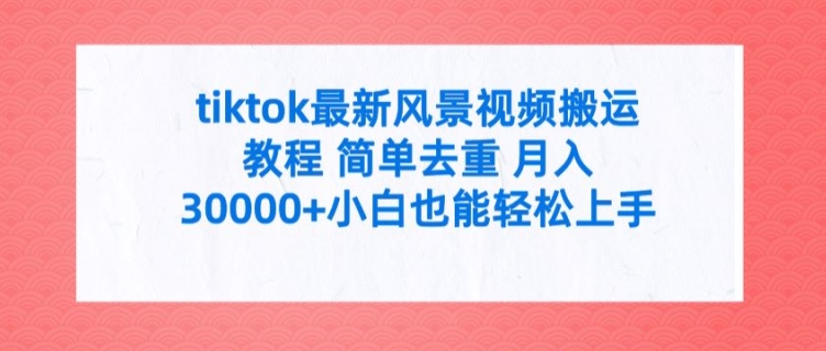 tiktok最新风景视频搬运教程 简单去重 月入3W+小白也能轻松上手【揭秘】-16888副业资讯