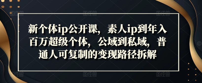 新个体ip公开课，素人ip到年入百万超级个体，公域到私域，普通人可复制的变现路径拆解-16888副业资讯
