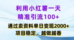 利用小红书一天精准引流100+，通过卖项目单日变现2k+，项目稳定，越做越香【揭秘】-16888副业资讯