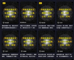 大案纪实解说课，2024年最新抖音大案教学教程-16888副业资讯