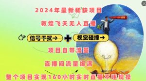 2024年最新稀缺项目敦煌飞天无人直播，项目自带流量，流量爆满，实现160小时实时直播不违规操-16888副业资讯