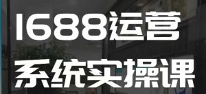 1688高阶运营系统实操课,快速掌握1688店铺运营的核心玩法-16888副业资讯