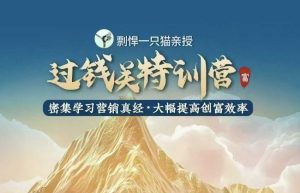 剽悍一只猫-过钱关特训营，学习营销真经 大幅度提高创富效率-16888副业资讯