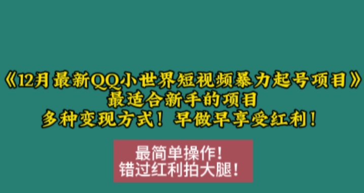 12月最新QQ小世界短视频暴力起号项目，最适合新手的项目，多种变现方式-16888副业资讯