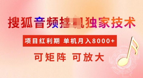 全网首发搜狐音频挂JI独家技术，项目红利期，可矩阵可放大，稳定月入8k【揭秘】-16888副业资讯